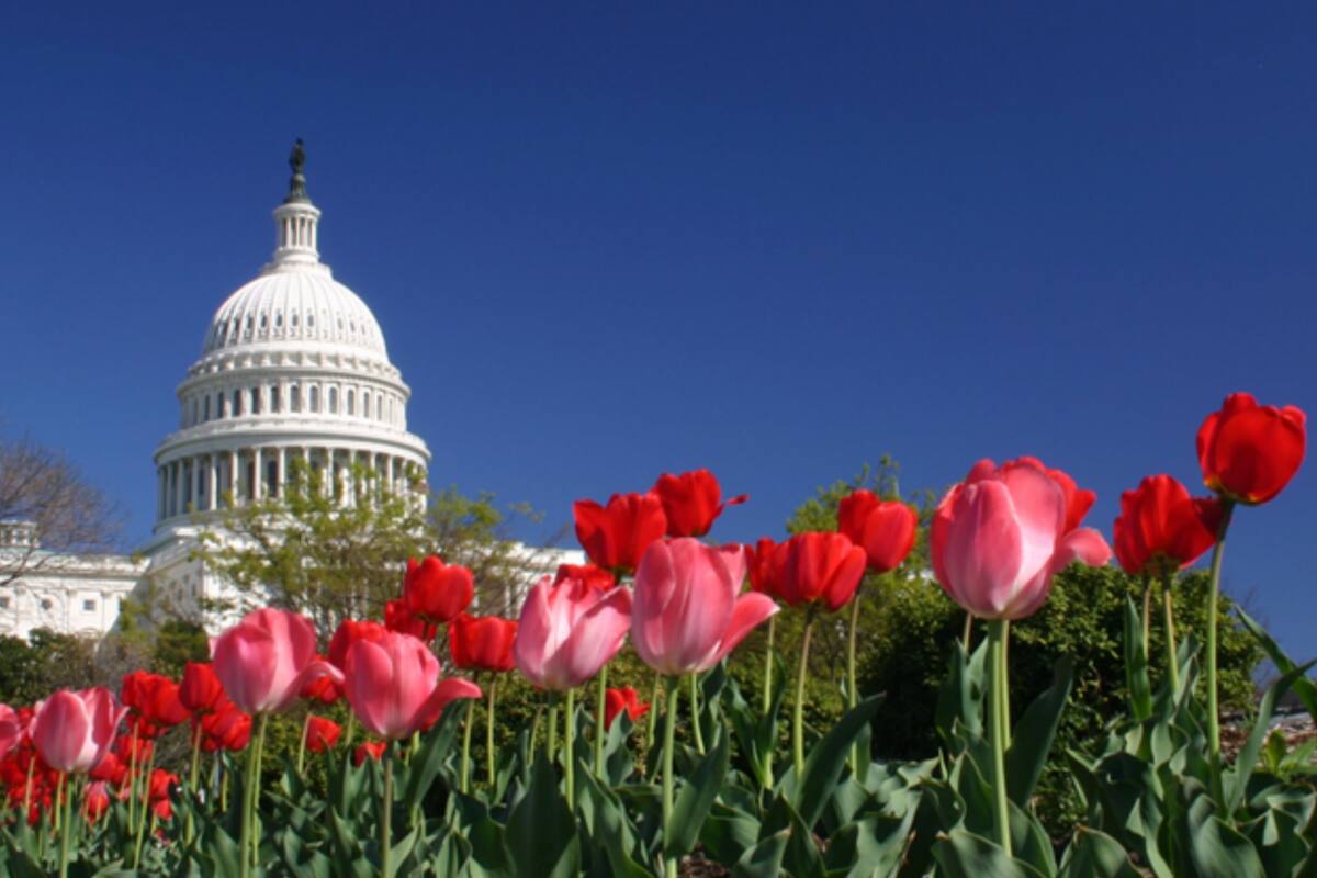 En el hemisferio norte del planeta, el equinoccio de primavera usualmente sucede entre el 19 y el 21 de marzo