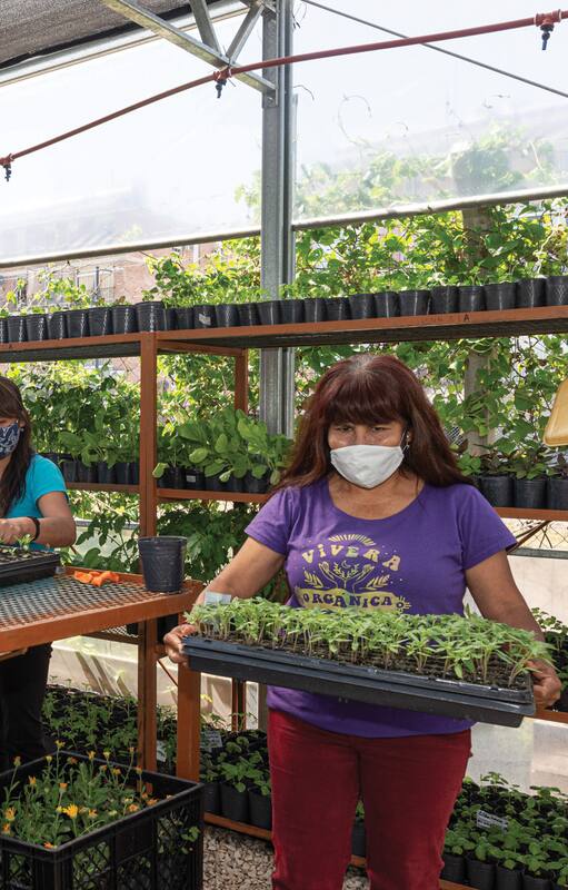 En el impecable invernáculo, se inician los trabajos de siembra, tanto de plantines de huerta como de nativas.