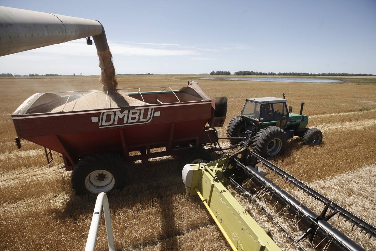 En el informe de la OCDE se destaca el escaso apoyo que tienen los productores en el país