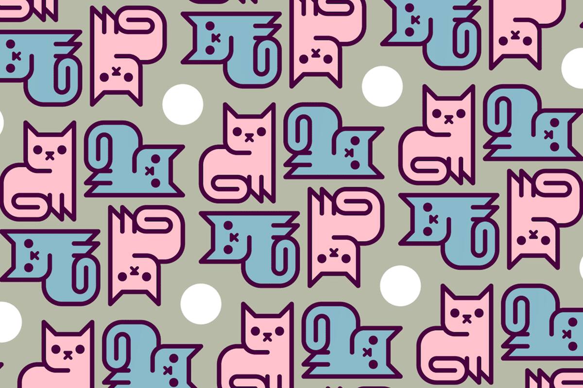 En el interior de esta nota deberás encontrar dos gatos que, a diferencia de los demás, están de espalda