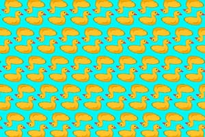 En el interior de la nota hay una imagen que te pondrá a prueba con patos similares a estos