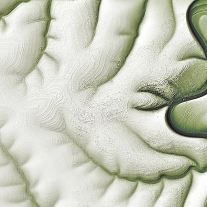 En el invierno siberiano, los dibujos que presenta la región se hacen más notorios, como se ve en esta imagen satelital