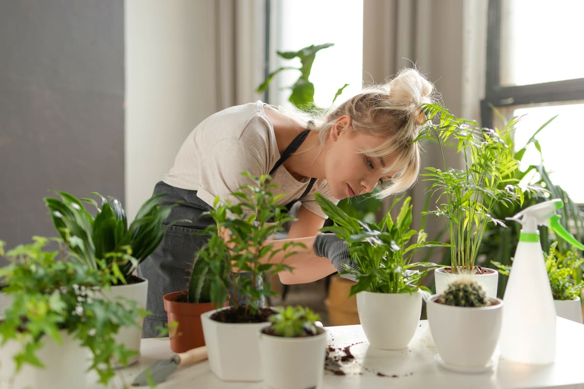 En el invierno también se puede tener un jardín hermoso: cómo hacerlo