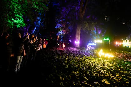 En el Jardín Botánico Carlos Thays, con más de 1500 especies de plantas, se realiza un espectáculo nocturno