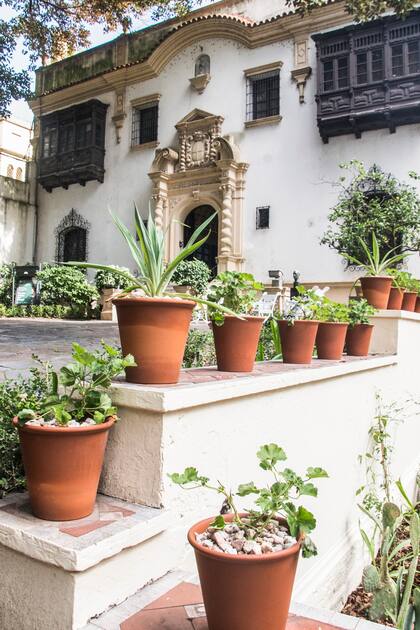 En el jardín hay dos olivos muy antiguos. Estaban muy tapados por otros árboles, y como parte del plan de recuperación del jardín, fueron despejados recientemente. Este año los olivos volvieron a dar fruta como nunca antes.