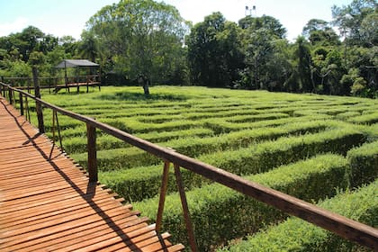 En el laberinto de Montecarlo, Misiones, una vez adentro, sus 3.100 m² de superficie ofrecen sólo dos salidas posibles.