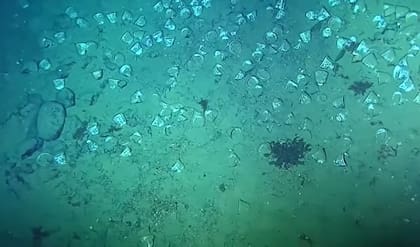 En el lecho marino se hallan elementos de vidrio y porcelana, al igual que monedas de oro