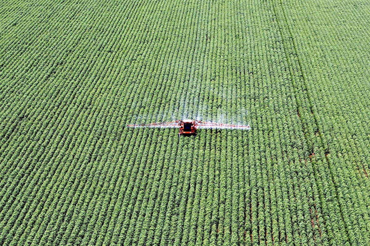 En el lote La aplicación de fitosanitarios evoluciona hacia formas cada vez más seguras