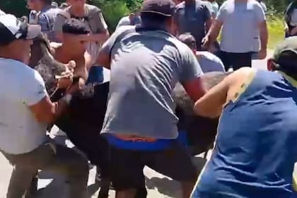 En el lugar la gente fue sobre los animales que estaban en el camión