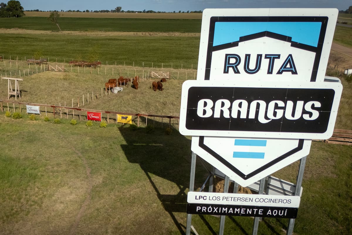En el marco de Expoagro, la entidad anunció el lanzamiento de Ruta Brangus