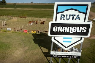 Lanzaron un parador gastronómico para acercar la carne al consumidor