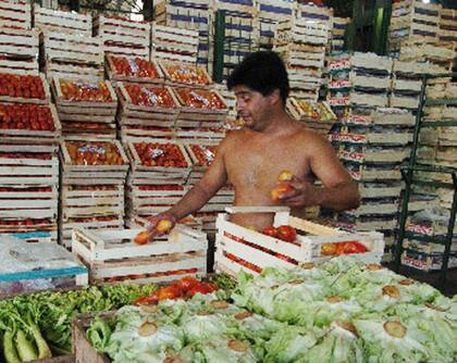 En Mar del Plata, el cajón de lechuga en el campo se pagó alrdedor de los $600, mientras que esta semana en el cordón hortícola platense se pagó hasta $1800 el cajón