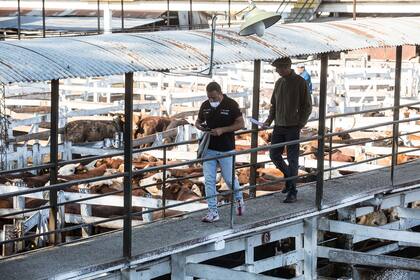 En el Mercado de Hacienda de Liniers se tomaron medidas de seguridad.
