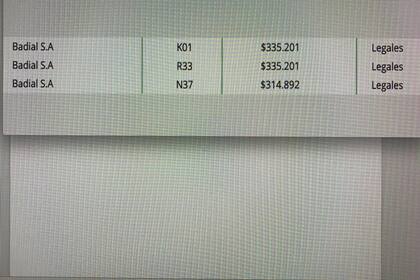 Un registro de las expensas impagas al que accedió LA NACION