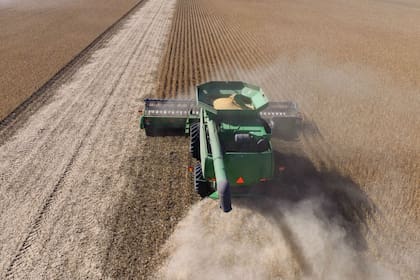 En el mundo de los agronegocios se debate impulsar opciones sostenibles con biosistemas integrados