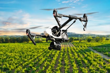 En el mundo se invirtieron US$120.000 millones en empresas disruptivas del agro