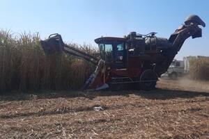 En el NOA se está realizando la recolección de caña que implica un importante movimiento logístico