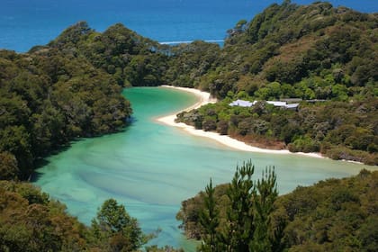 En el norte de la Isla Sur, Abel Tasman ofrece senderos inagotables entre selva y playas vírgenes