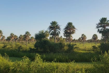 Se busca recuperar tierras para la producción
