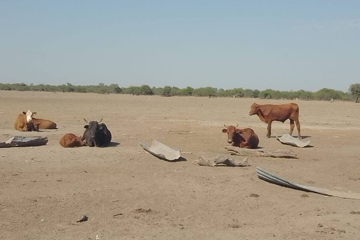 En el norte de Santa Fe se siguen viendo situaciones muy complicadas para la producción