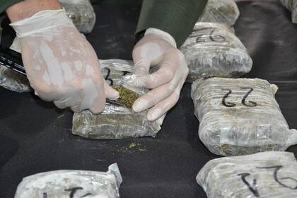 En el operativo fueron secuestrados más de nueve kilos de marihuana
