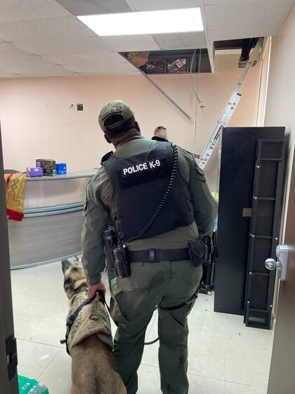 En el operativo se utilizaron "agentes K-9", como se le llama a los perros policía