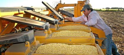 En el país hay 166 empresas dedicadas al negocio de semillas
