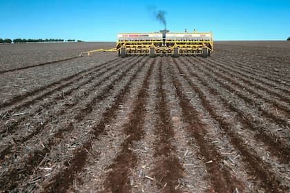 En el país sólo un 5,93%, sobre un total de 267,6 millones de hectáreas, incluyendo rurales, mineras y otras actividades, está en manos extranjeras