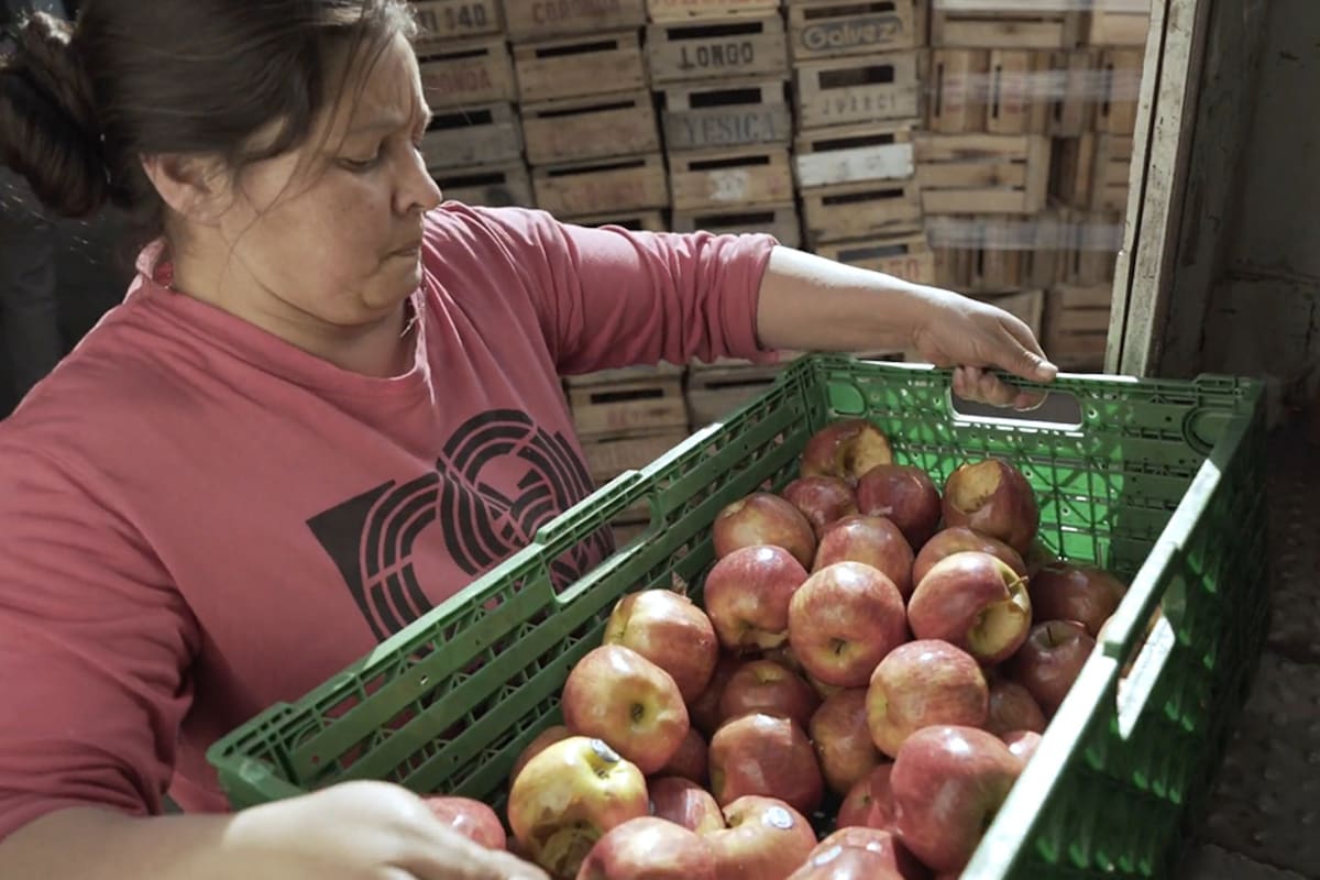En el país ya hay unos 150 vecinos que revenden mercadería a través de la plataforma
