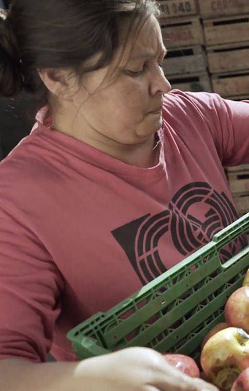 En el país ya hay unos 150 vecinos que revenden mercadería a través de la plataforma