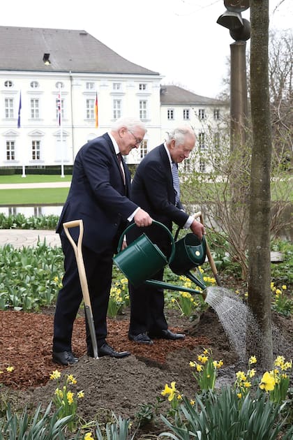 En el palacio presidencial de Bellevue, el mandatario alemán y Carlos III plantaron un árbol como parte de la iniciativa Queen’s Green Canopy, en memoria de a reina Isabel II, durante una reunión de sostenibilidad en asociación con el Diálogo de Transición Energética de Berlín.