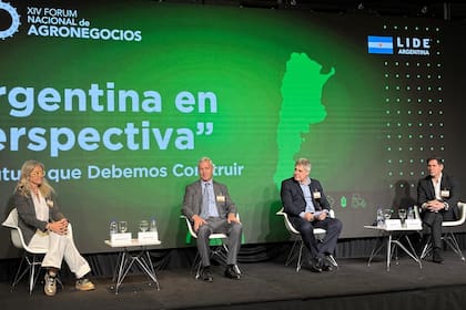 En el panel “Proteína con identidad: la Argentina ante el desafío global”
Giraudo Costantini, Kahl y Dranovsky