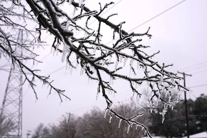 En el Panhandle de Texas, las temperaturas mínimas oscilarán alrededor de 40 °F (4 °C) entre la madrugada del sábado y el amanecer del domingo