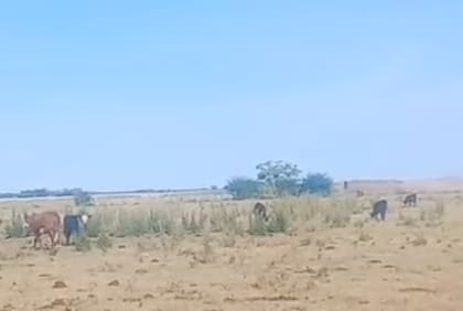 En el paraje Escobedo, las familias sostienen que la discusión no es solo ambiental, sino también sobre derechos básicos