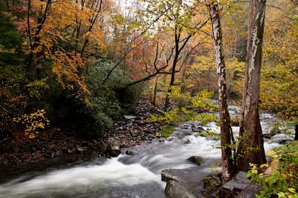 En el Parque Nacional de las Montañas Humeantes podrás realizar varias actividades con vistas hermosas (Instagram/@greatsmokynps)
