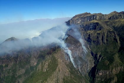 En el parque nacional, hay especies en peligro crítico de extinción