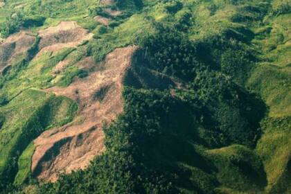 En el Parque Nacional Masoala hay parches de tierras vacías que descomponen el paisaje del exuberante bosque verde