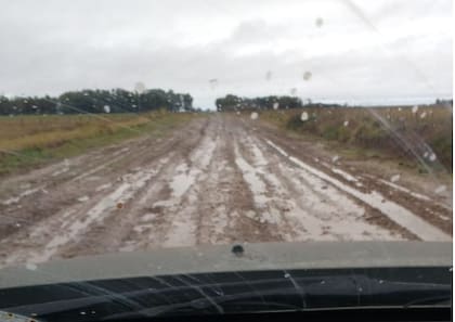 En el partido de General Guido hay 600 kilómetros de caminos rurales que se deberían mantener con la tasa vial, pero los productores advierten que el municipio no lo hace