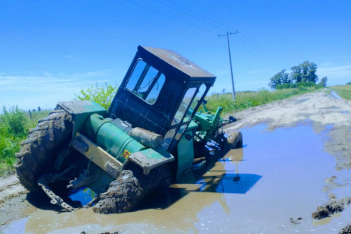 En el partido hay unos 1000 kilómetros de caminos rurales y, según la Rural local, solo el 10% está en buen estado