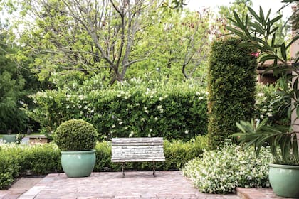 En el patio cercano a la galería se plantaron, entre otras, olea texana, Buxus sempervirens, jazmín de leche (Trachelospermum jasminoides), eugenia y Syzygium paniculatum. Con estas especies de similar textura, algunas con flores blancas y perfumadas, se trabajaron las formas y los volúmenes.