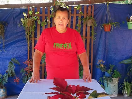 En el patio de su casa, donde sirve comida para los turistas