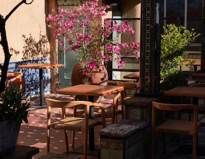 En el patio, la gran reina es la parra que da uvas y hojas que ya se comenzarán a usar para sus platos.