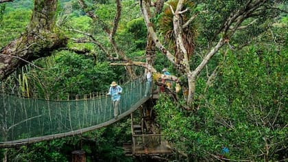 En el Perú hay unos 200 puentes de suspensión cuya inspiración fueron los desarrollados por los Incas (FOTO: GETTY)