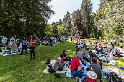 En el picnic, los científicos galardonados celebraron con sus jóvenes colegas