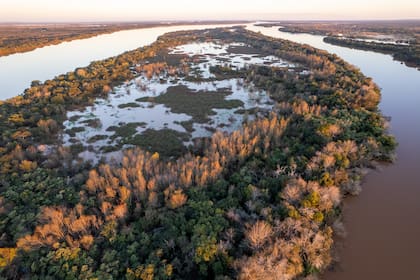 En el presupuesto 2025 se asignan unos $9091 millones a la Ley de Bosques, una fuerte caída ya que –según la propia norma– ese fondo fiduciario debería recibir un mínimo del 0,3% del presupuesto, mientras que el monto asignado representa el 0,0077%