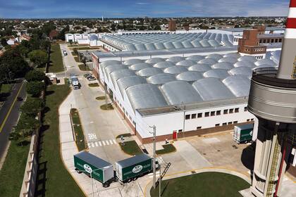 En el primer trimestre, los precios se reacomodarán al escenario post devaluación; a largo plazo, el sector promete oportunidades