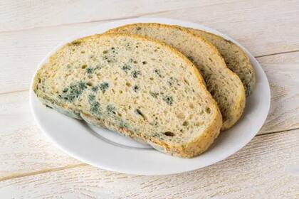 En el proceso de deterioro del pan se puede encontrar el hongo Rhizopus nigricans, que también suele aparecer en la superficie de las frutas o verduras (Foto Unsplash)