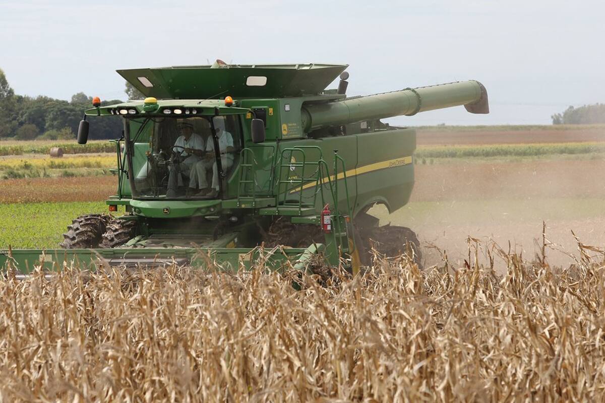 En el próximo ciclo la producción podría llegar e 125 millones de toneladas