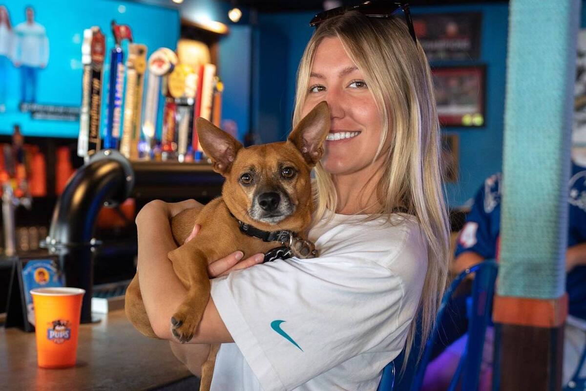 En el pub de Tampa, los clientes pueden ir a tomar tragos en compañía de sus mascotas