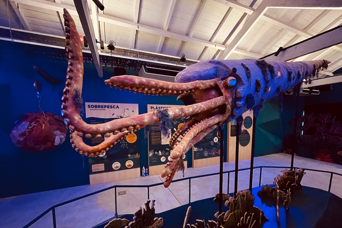 En el recinto donde funcionaba un serpentario se inauguró la Estación Oceánica, la nueva atracción del Ecoparque porteño